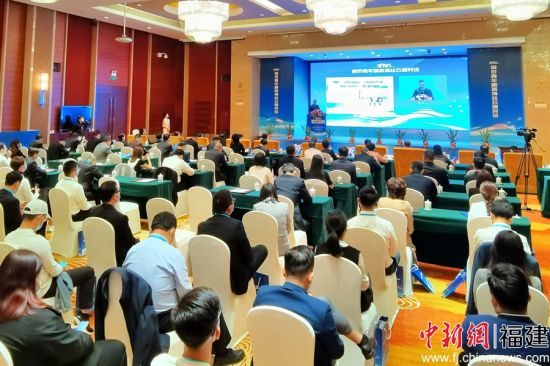 2020闽侨青年精英海丝云端对话活动现场。