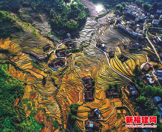 6018fcda6268f.png