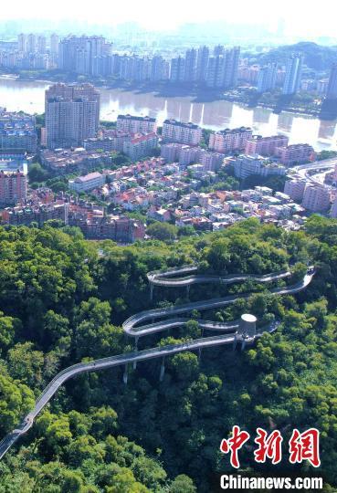 位于市区的福州城市森林步道。　王东明 摄