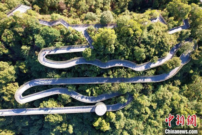 俯瞰福州城市森林步道。　王东明 摄