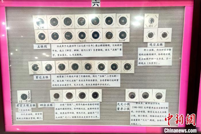 陈清雄将收藏的古币按照朝代一一整理。　吴冠标 摄