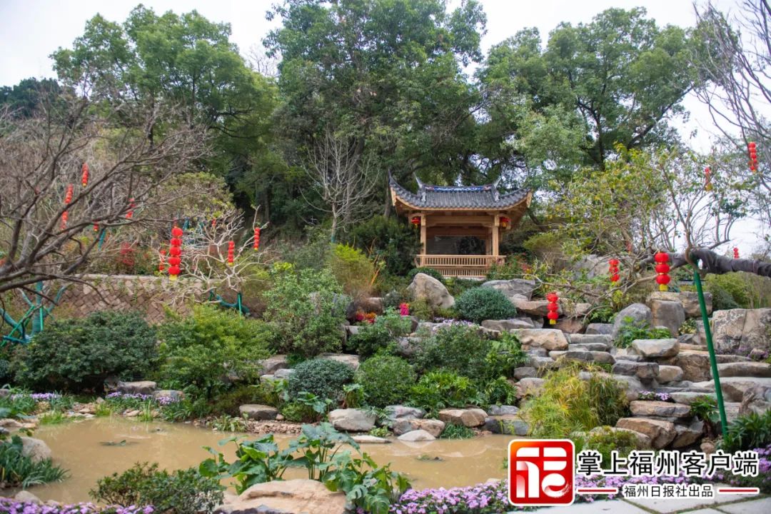 惊喜！福州连续“上新”！