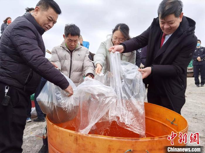 助力海域生态修复侨乡福清增殖放流5529万尾虾苗