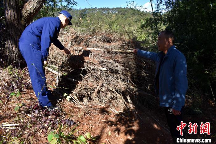 元宵节福建消防“踏查”行动筑牢森林防火安全网