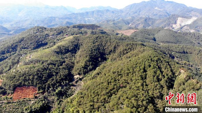 无人机全景尺度画面。 福建省森林消防供图 无人机全景尺度画面。 福建省森林消防供图