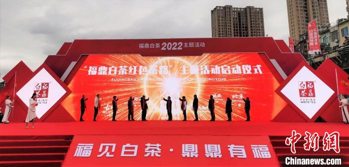 奥运、世界冠军助力“中国白茶之乡”茶产业发展