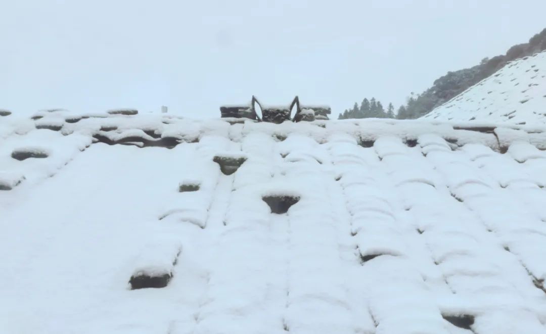 福建下雪地图又扩大了，福州、南平、宁德、三明、莆田加入