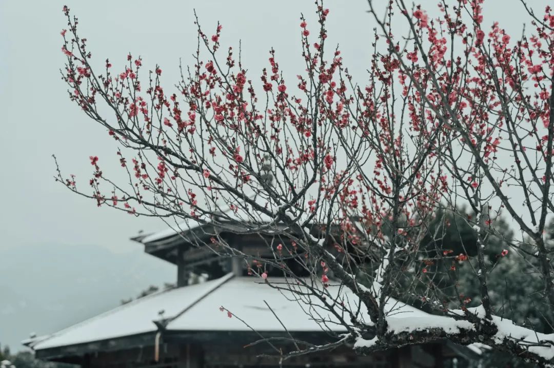 福建下雪地图又扩大了，福州、南平、宁德、三明、莆田加入