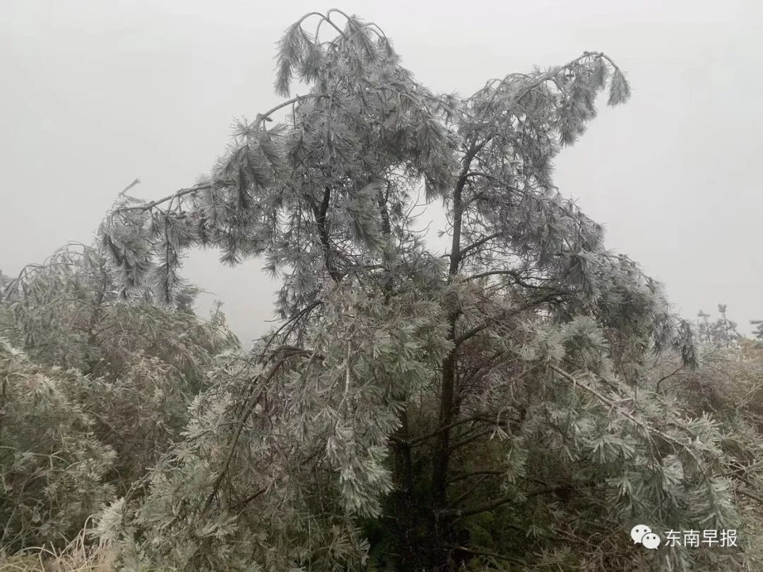 福建下雪地图又扩大了，福州、南平、宁德、三明、莆田加入