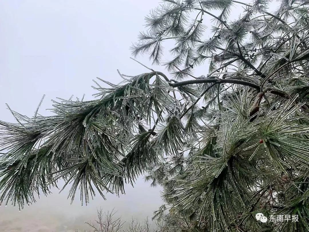 福建下雪地图又扩大了，福州、南平、宁德、三明、莆田加入