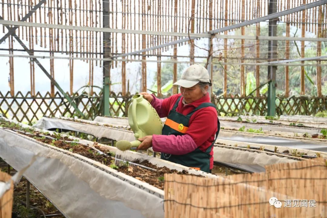 有颜、有钱、有文化，闽侯白沙这个“别人的村庄”你向往吗？