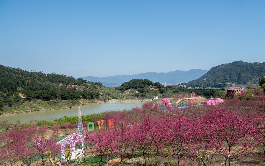 樱花园扮靓乡村。刘其燚摄
