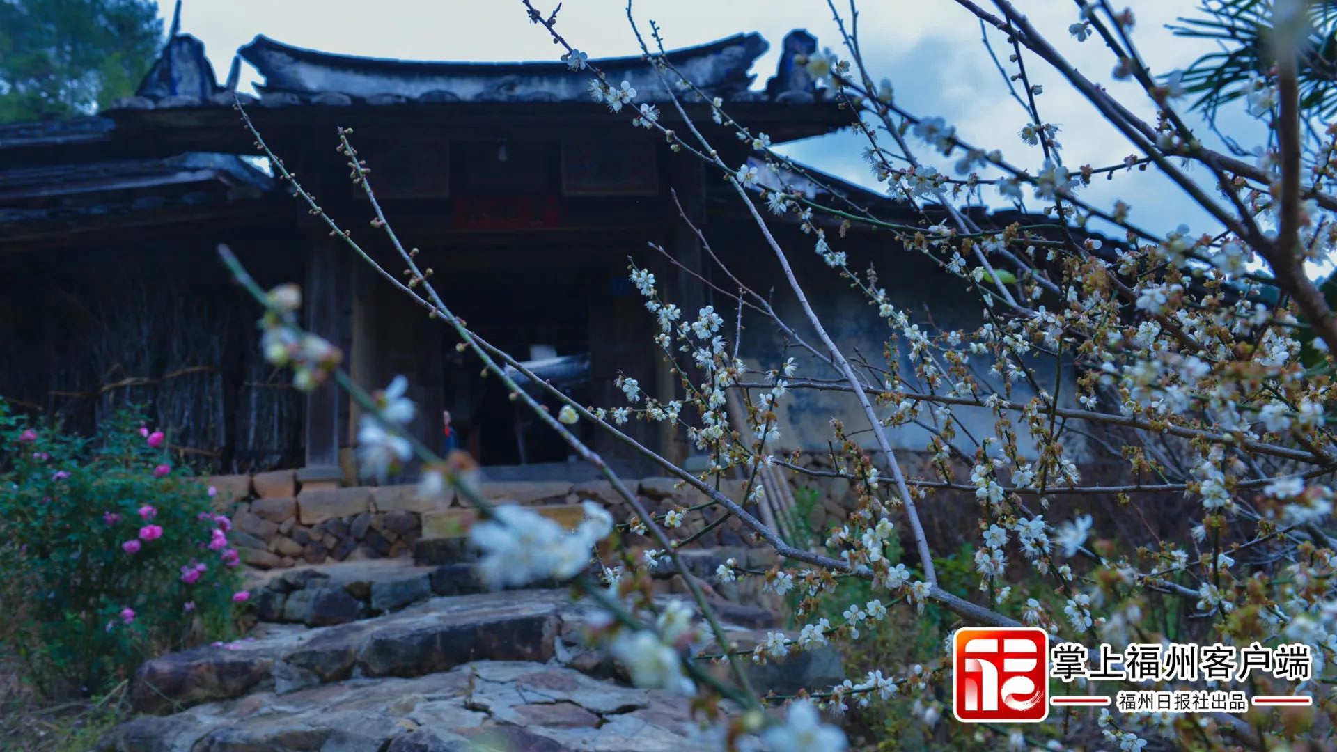 全国唯一！恭喜永泰！