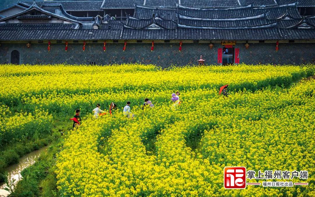 全国唯一！恭喜永泰！