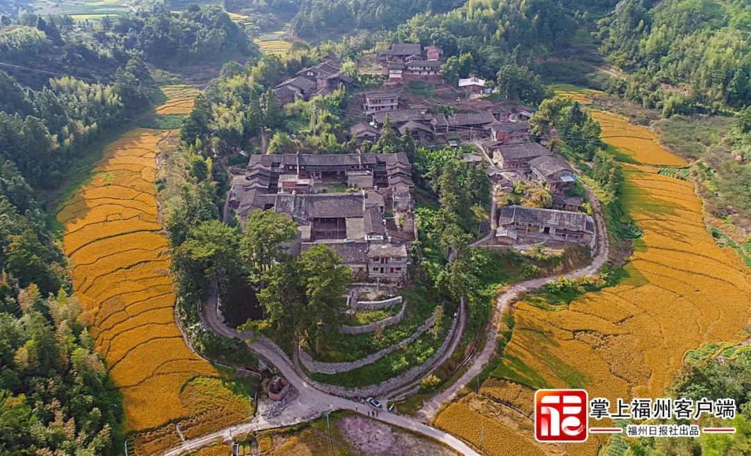 全国唯一！恭喜永泰！