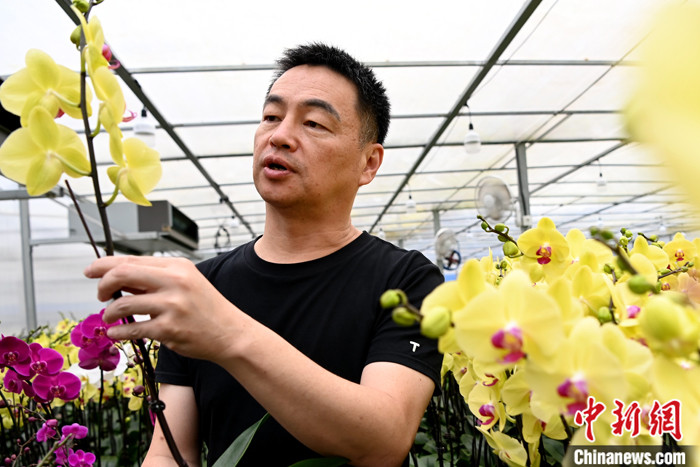 点击进入下一页