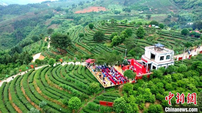图为：2022年红茶文化节暨“尤溪中国数字红茶城”启动仪式活动现场鸟瞰图。　吴振湖供图