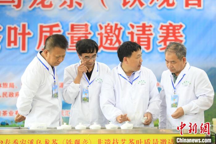 2022年安溪茶乌龙茶(铁观音)非遗技艺茶叶质量邀请赛评审现场。　虎邱镇供图