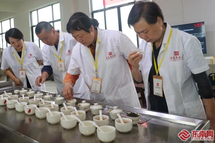 茶叶评审专家与评茶员在三霖茶业有限公司评审毛茶 邱汝泉/摄