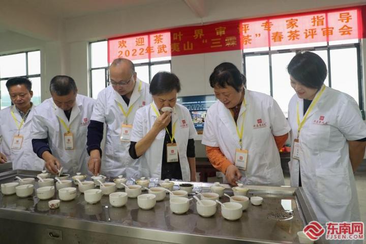 茶叶评审专家与评茶员在三霖茶业有限公司评审毛茶 邱汝泉/摄