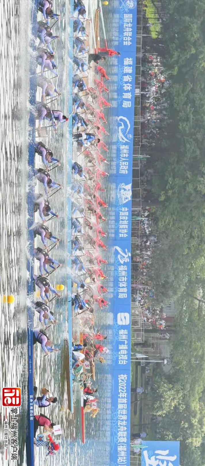 刚刚！世界级大赛在福州上演！现场来了！（附观赛指南）