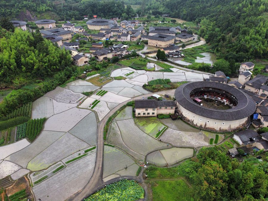 一块块水田与世遗土楼一同勾勒出一幅美丽的乡土田园画卷。南靖县融媒体中心供图