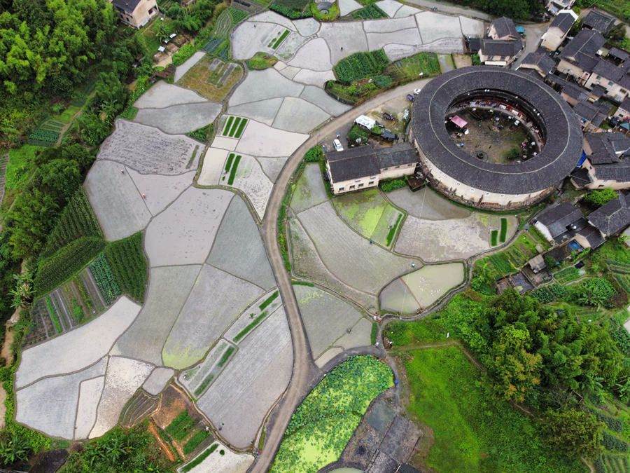 一块块水田与世遗土楼一同勾勒出一幅美丽的乡土田园画卷。南靖县融媒体中心供图