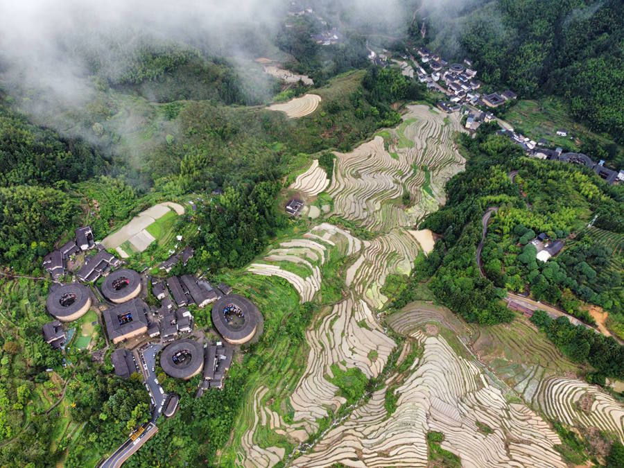一块块水田错落分布,宛若大地指纹,与世遗土楼一同勾勒出一幅美丽的乡土田园画卷。南靖县融媒体中心供图