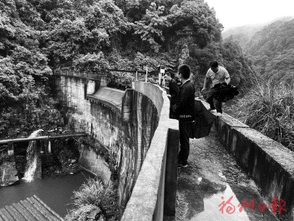 ä¸ºç»¿è²åå±æ·»å¨è½