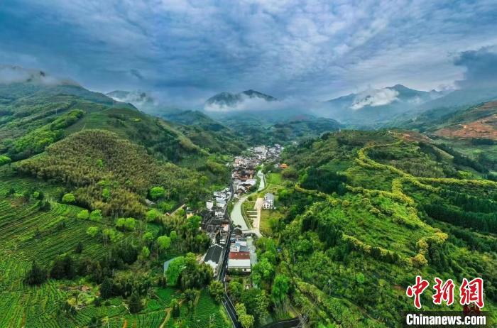 坦洋村坦洋茶山。　福安市社口镇 供图