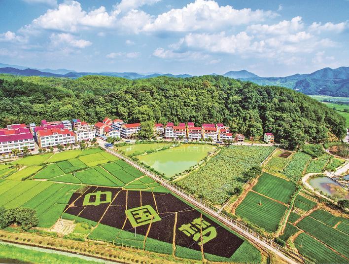 美丽的俞邦村 （市林业局供图）