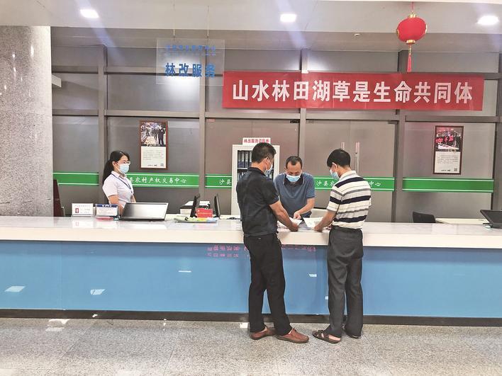 沙县区农村产权交易中心助农村资产“活”起来。 （周志鸿 摄）