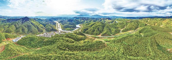 郁郁葱葱的泰宁国有林场 （市林业局供图）