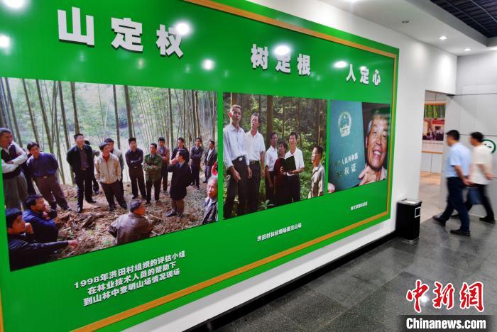 （人民幸福生活）从林改到国家生态文明试验区：福建“碳”路绿色发展