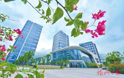 厚植数字沃土　激发数字活力