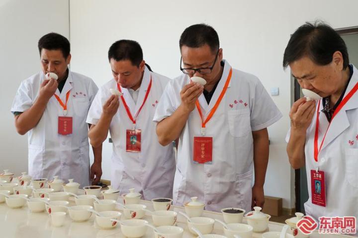专家评委在评审武夷岩茶星级标准 邱汝泉 摄