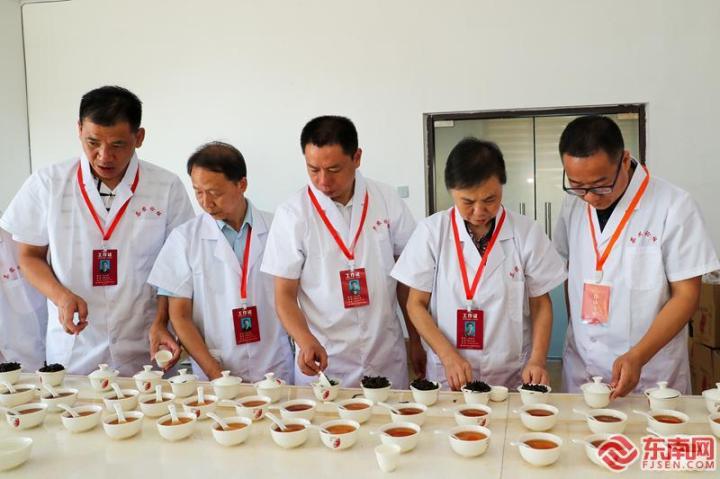 专家评委在评审武夷岩茶星级标准 邱汝泉 摄