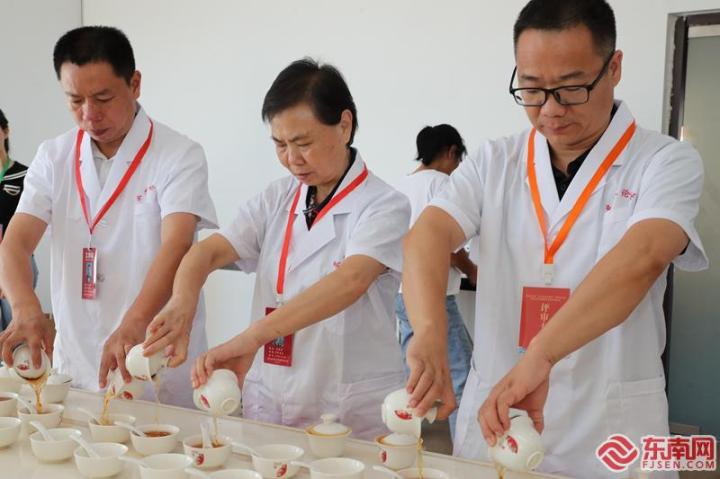 专家评委在评审武夷岩茶星级标准 邱汝泉 摄