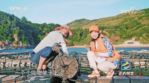 CCTV-1《正大综艺》聚焦平潭 CCTV-1《正大综艺》聚焦平潭