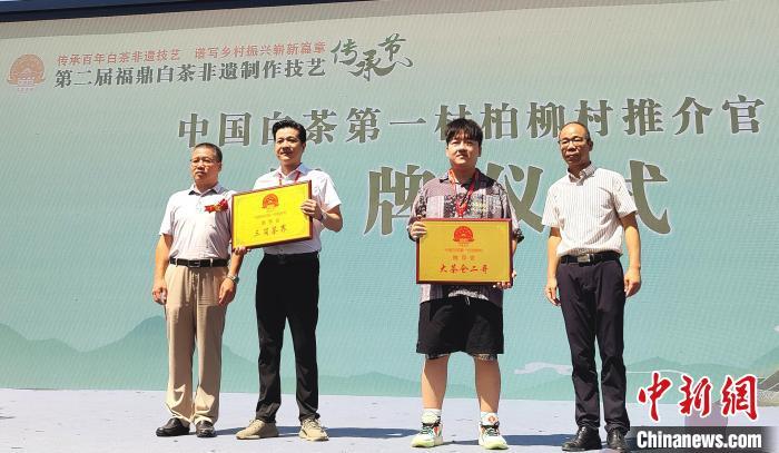 《中国白茶第一村柏柳村推介官》授牌仪式。　林杰 摄