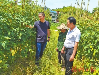 田野写论文　产业谋转型