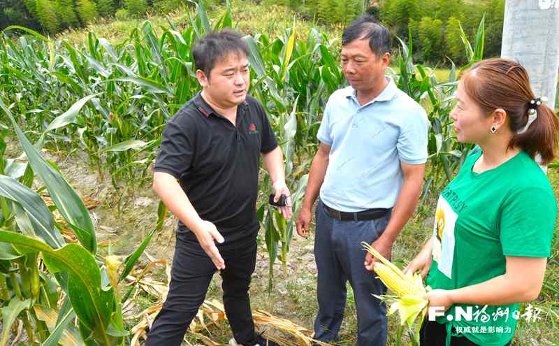 永泰县高标准实施乡村振兴“六个一”项目