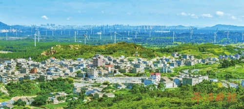 苏平片区　扮靓北大门畅迎八方客