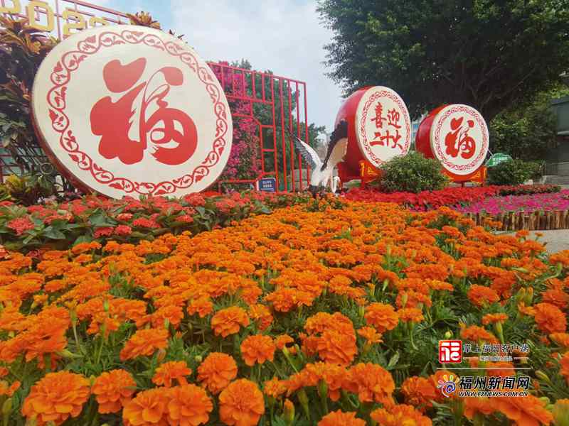 喜迎二十大 花团锦簇扮靓榕城