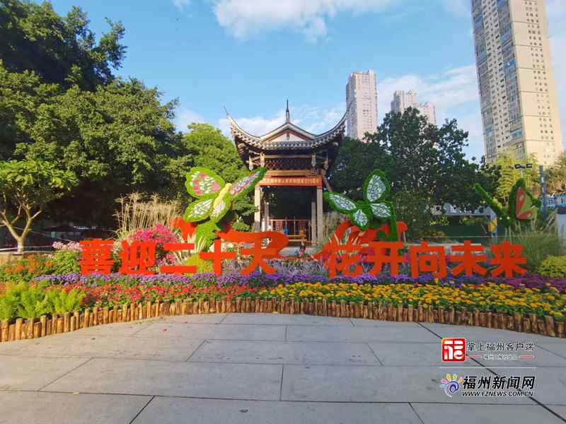 喜迎二十大 花团锦簇扮靓榕城