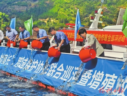 榕组织大樟溪流域跨域联合巡河