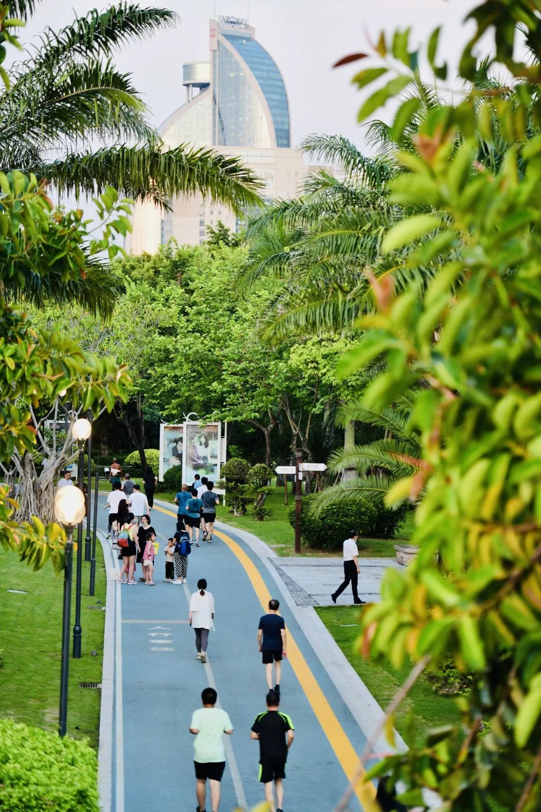 岛内大提升聚焦民生，推动近邻运动场所建设，更加贴近大众需求。图为筼筜湖健康步道。（厦门日报记者 张江毅 摄）