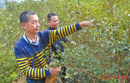 “党的好政策让我们过上了好日子”