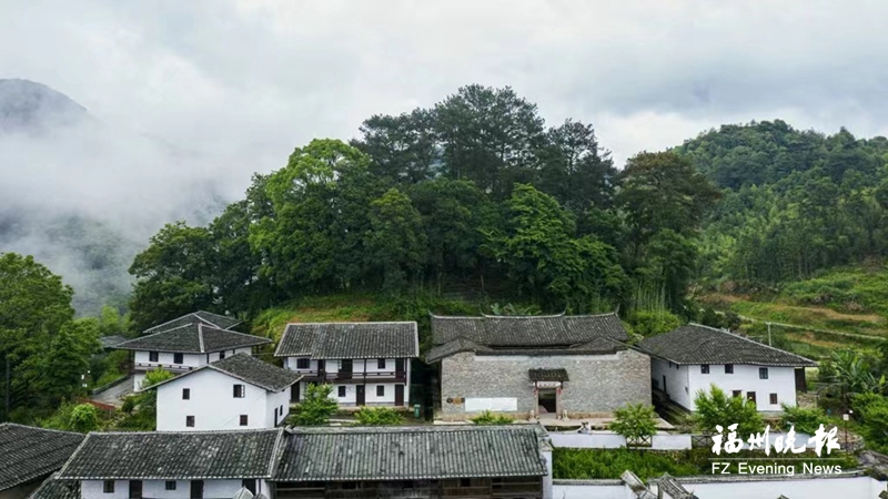 5片绿色“活化石” 代表福州“选美” 5片绿色“活化石” 代表福州“选美”