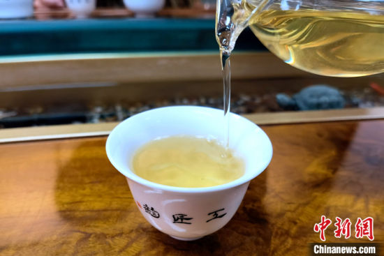 资料图为2022年10月11日，冲泡后的安溪铁观音茶汤金黄明亮。 中新社记者 孙虹 摄
